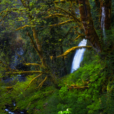 Multnomah Falls Peek